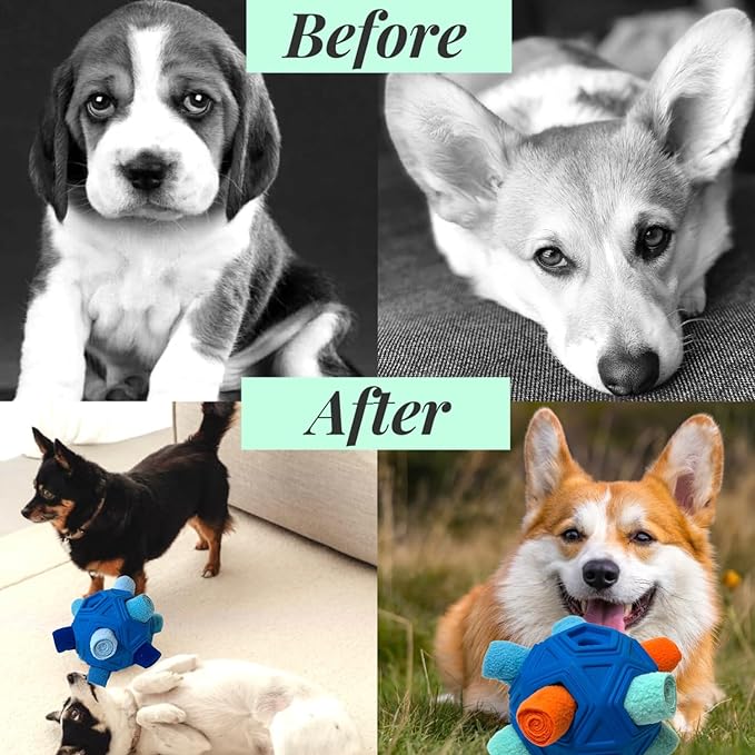 Snuffle Ball for Dog Toys Unbreakable Upgrade Ball Interactive Toy Foraging - Image 5