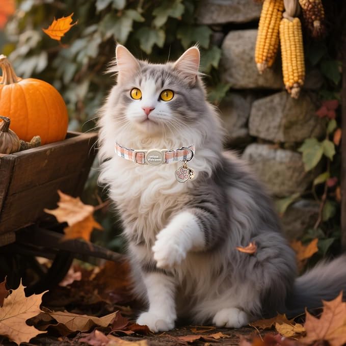 Unique Style Paws Orange Cat Collar, Cute Cat Collars - Image 6