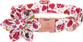 Lionheart Glory Heart Dog Collar, Valentine's Day Dogs Collar by LionheartGlory