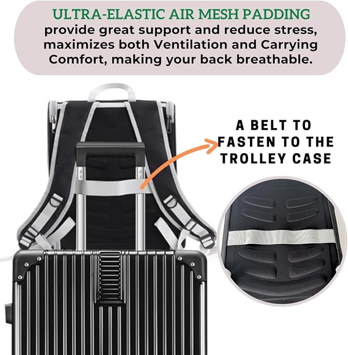 Lollimeow Cat Backpack Carrier, Airline Approved, Safe - Image 4