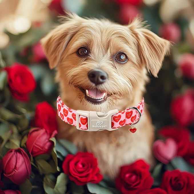 Valentines Dog Collar for Large Dogs