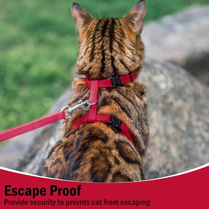 PUPTECK Adjustable Cat Harness and Leash Set Escape Proof Kitten Strap Collar - Image 6