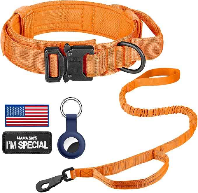 DAGANXI Tactical Dog Collar, Adjustable Military Training Nylon Dog Collar