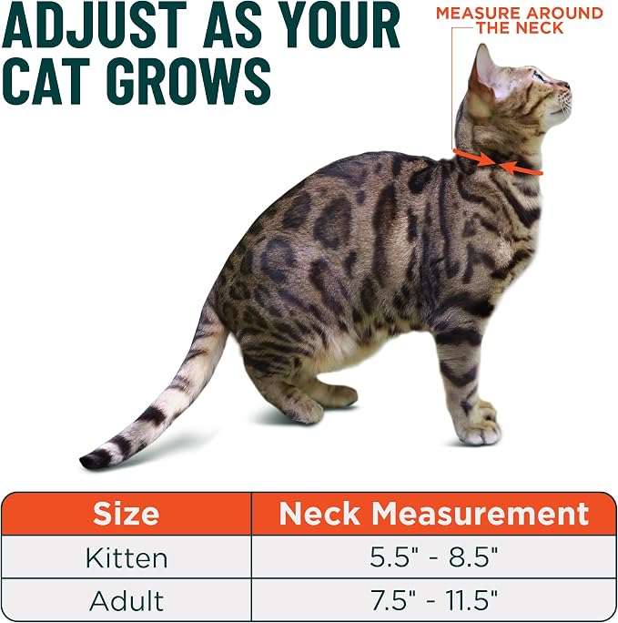 OutdoorBengal Orange Breakaway Kitten Collar - Image 5