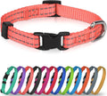 Joytale Small Dog Collar, Reflective and Adjustable Nylon Collar by Joytale
