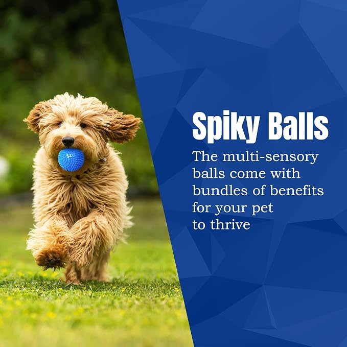 Meric CoCoo 3-Pack Squeaky Dog & Ferret Ball Toys, Massage Teeth and Gums - Image 6
