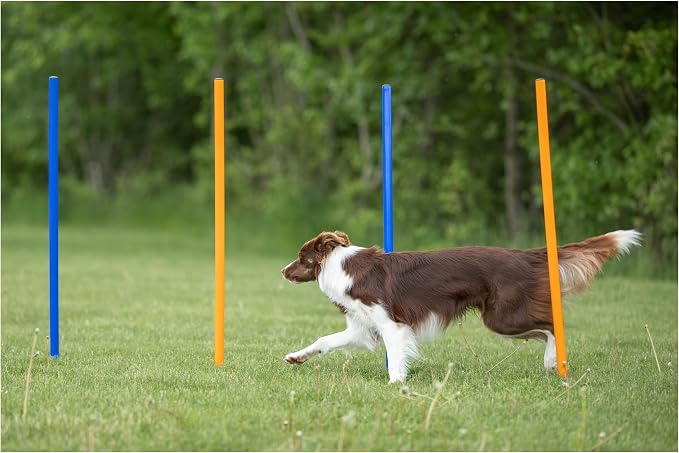 Trixie Dog Agility Slalom Course - Image 3