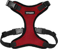Voyager Step-in Pet Harness by BestPetSuppliesLLC