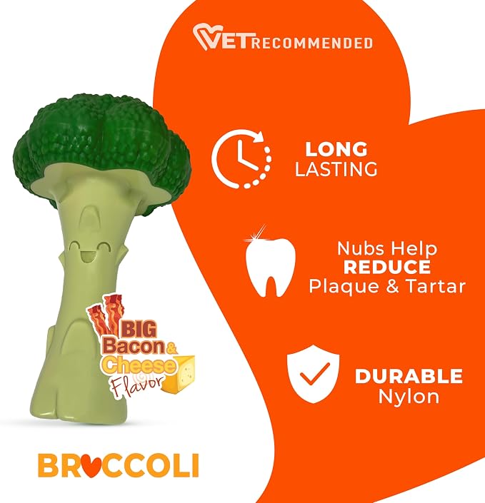 Nylabone Broccoli Power Chew Toy - Image 4