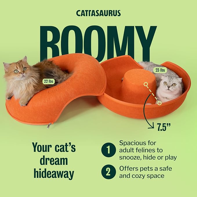 Cattasaurus Peekaboo Cat Cave Donut - Image 4