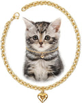 HOWWFALY Dog Collar and Cat Chain Necklace Stainless Steel Adjustable 18K Gold by HOWWFALY