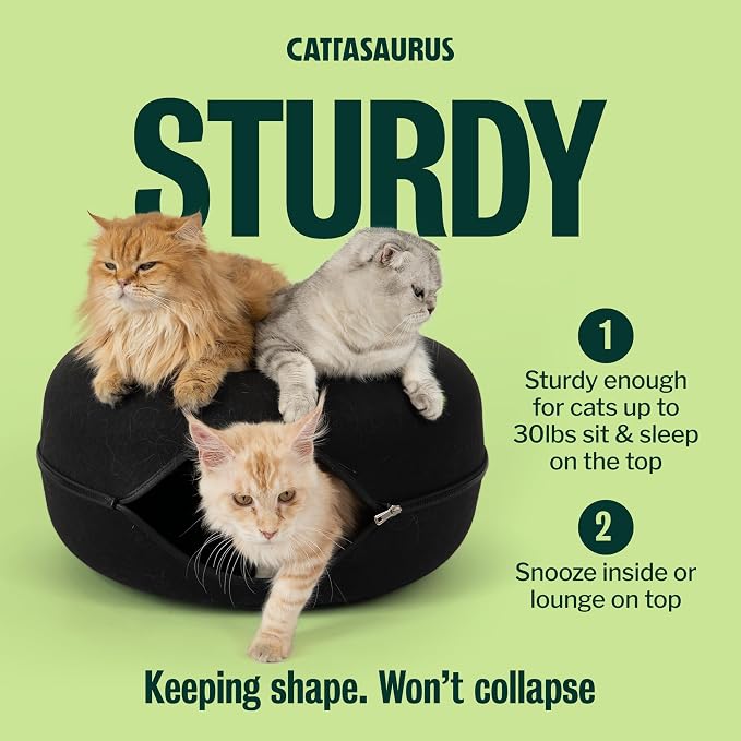 Cattasaurus Peekaboo Cat Cave Donut - Image 3