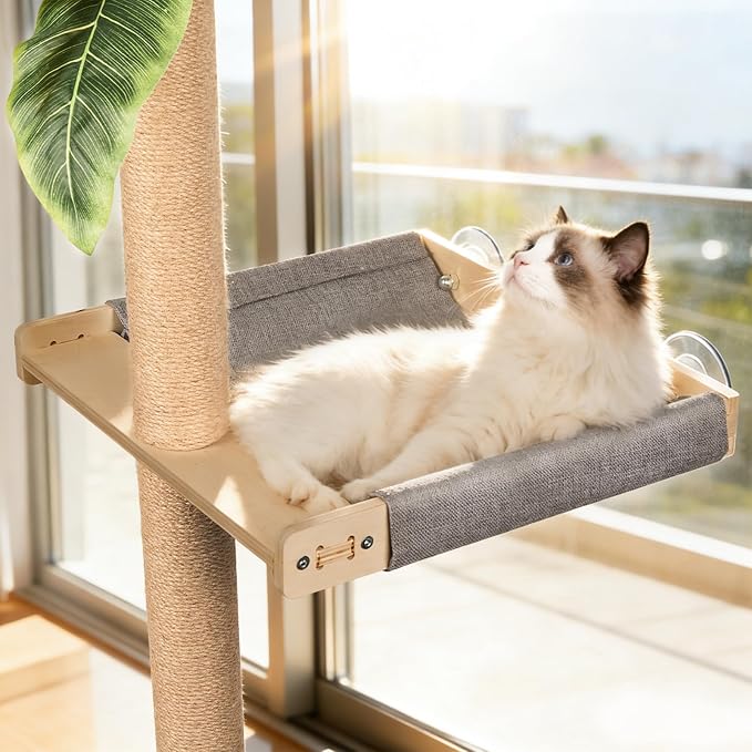 XiaZ Cat Window Perch with Tall Scratching Post, Sleeping & Watching Birds - Image 6