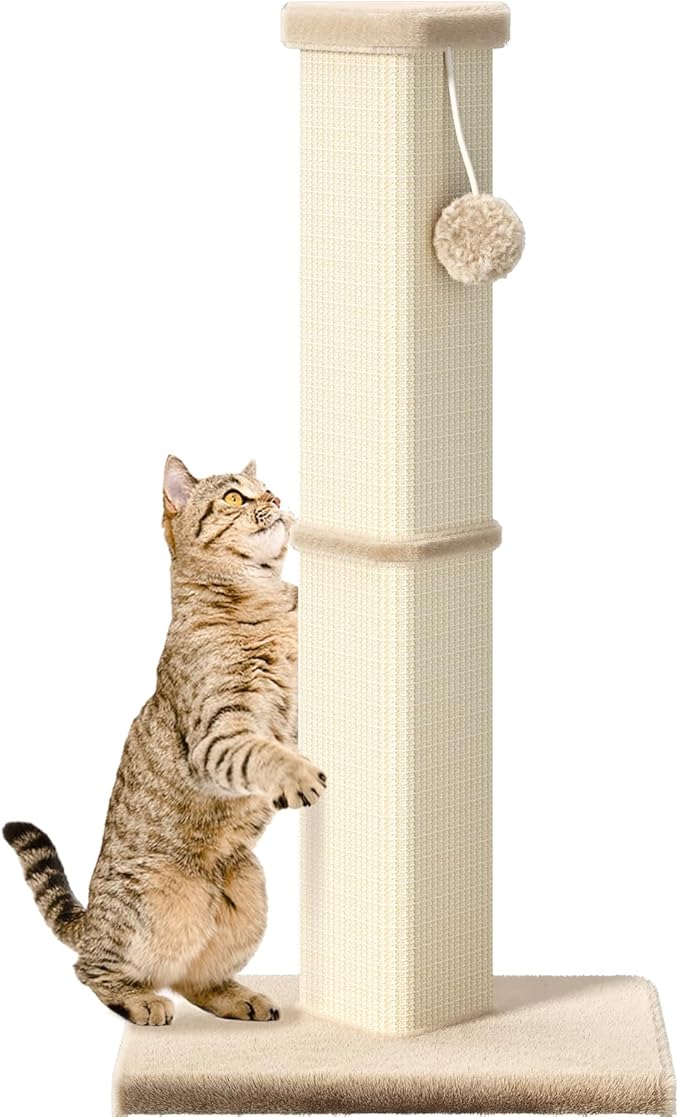 Cat Scratching Post, 32 Inch Tall Scratching Post by MeowHomm