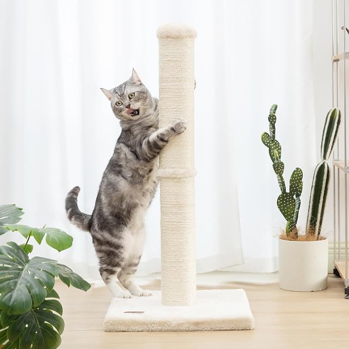 34inch Cat Scratching Post - Image 4