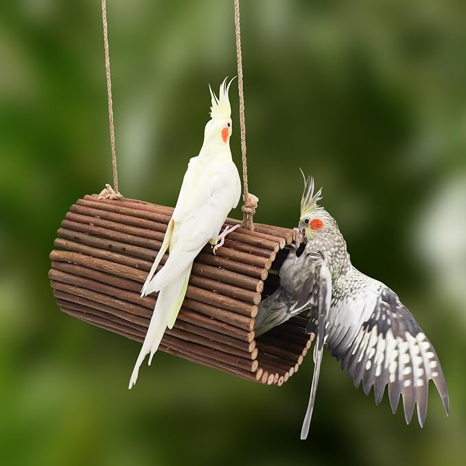 Parrot Swing Toys, Hanging Perch Stand, Natural Willow Wood Hammock, Bird Cage - Image 5