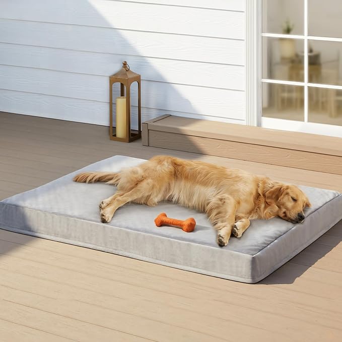 RPETHOME Indestructible Dog Beds by RRPETHOME