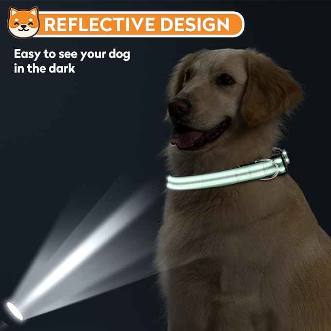 Reflective Dog Collar, Adjustable Soft Neoprene Padded Nylon Pet Collars