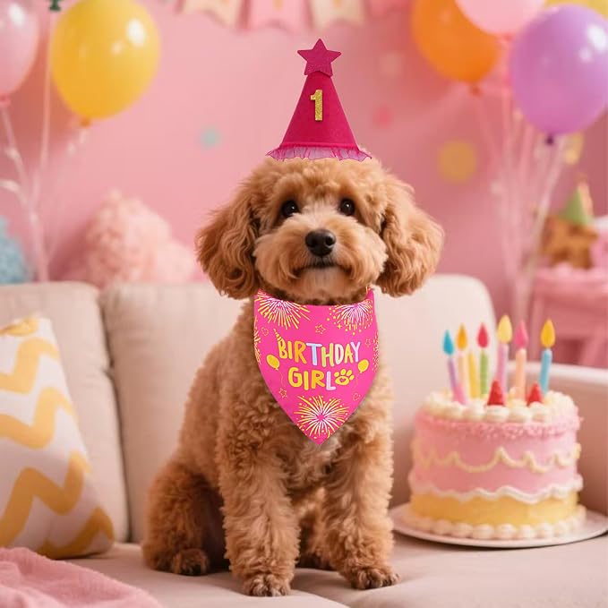Dog Birthday Decorations Rose Pink, Dog Birthday Party Supplies - Image 7