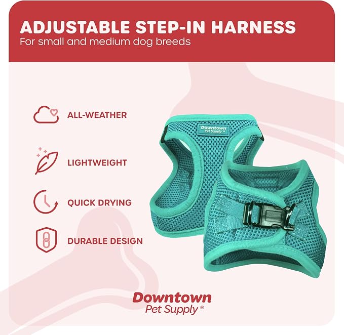 Downtown Pet Supply Step-in Dog Harness – No Pull, Adjustable Padded Mesh - Image 3