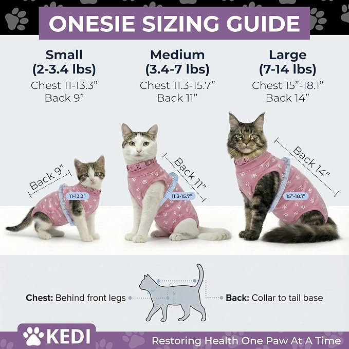 Kitten Recovery Suit Female, Kitten Onesie After Spay, Cat Surgery Suit Female - Image 2