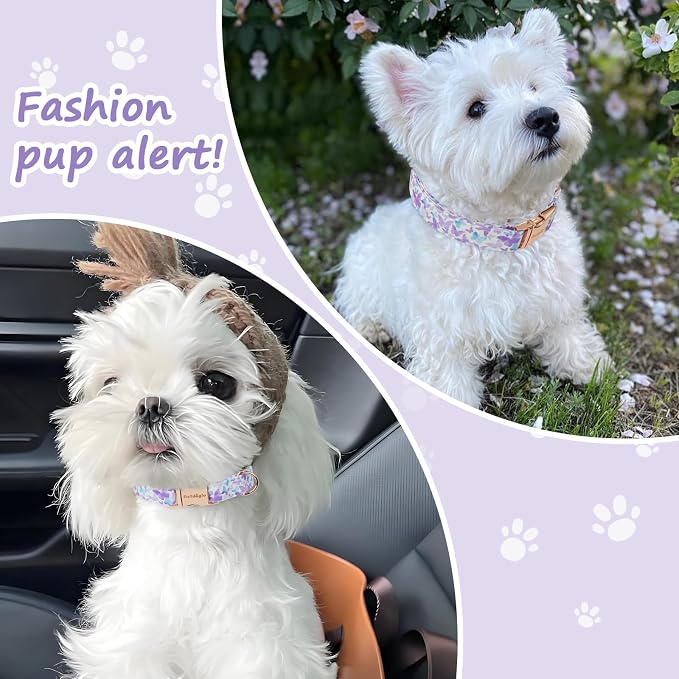 Elegant Butterfly Dog Collar, Adjustable Comfortable - Image 3
