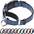 Martingale Dog Collar, Adjustable Nylon Reflective Collar by JOYEEIIOO