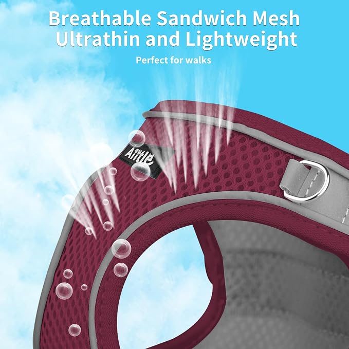 AIITLE Easy Walk Dog Harness and Leash Set - Image 5