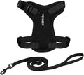 Voyager Escape-Proof Step-in Lock Cat Harness & 5ft Neoprene-Handle Leash Set by BestPetSuppliesLLC
