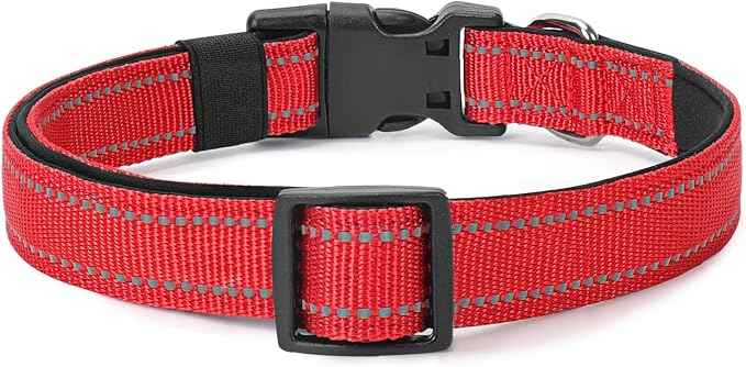 Reflective Dog Collar Padded