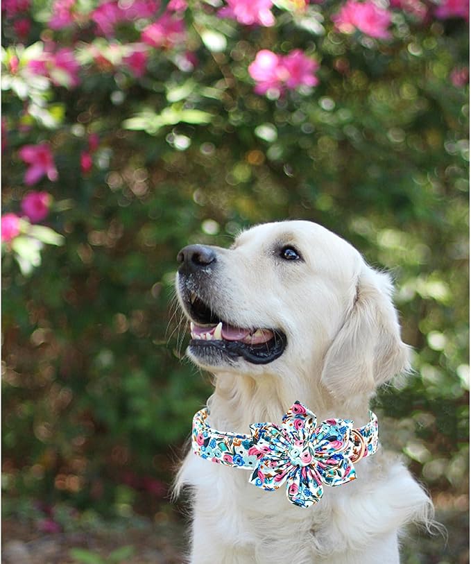 Lionheart Glory Floral Dog Collar - Image 5