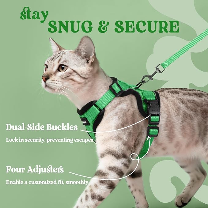rabbitgoo Cat Harness and Leash - Image 6