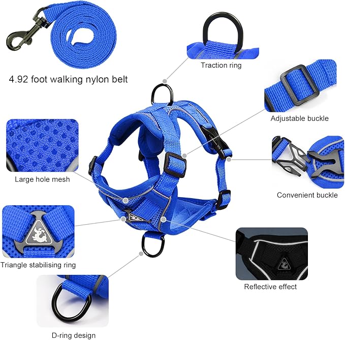 Escape Proof Kitten Harness and Leash Set - Image 2