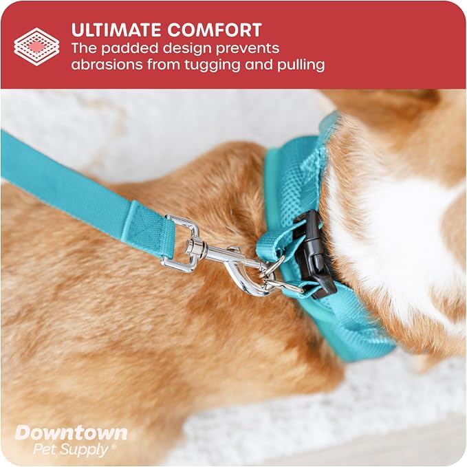Downtown Pet Supply Step in Dog Harness No Pull, Light Blue - Image 6