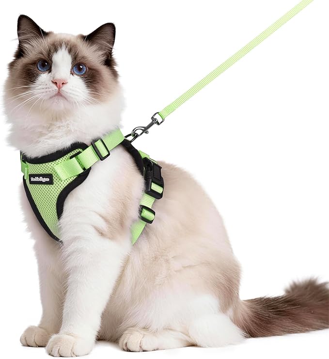 rabbitgoo Cat Harness and Leash by rabbitgoo