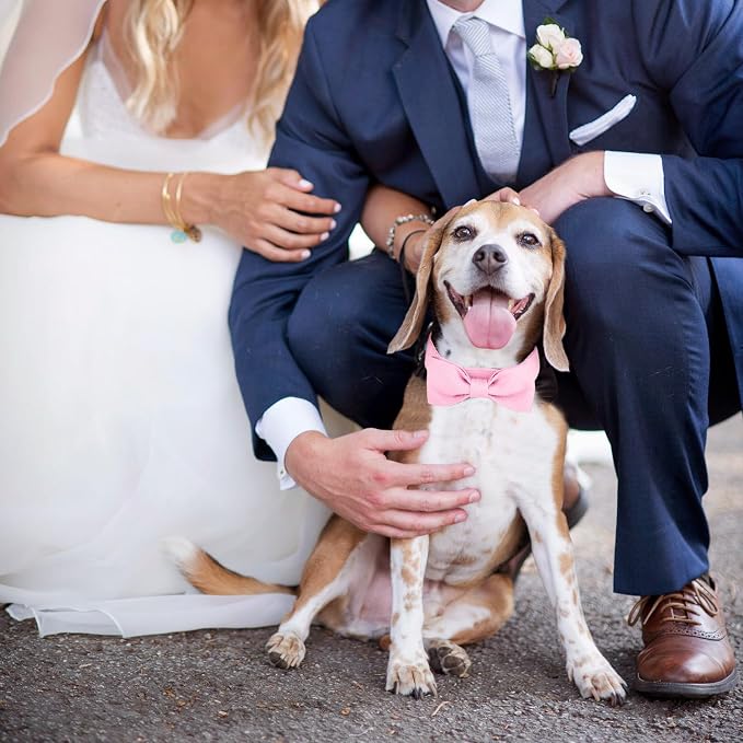 Segarty Dog Bow Tie Collar, Adjustable Pink Bowtie - Image 5
