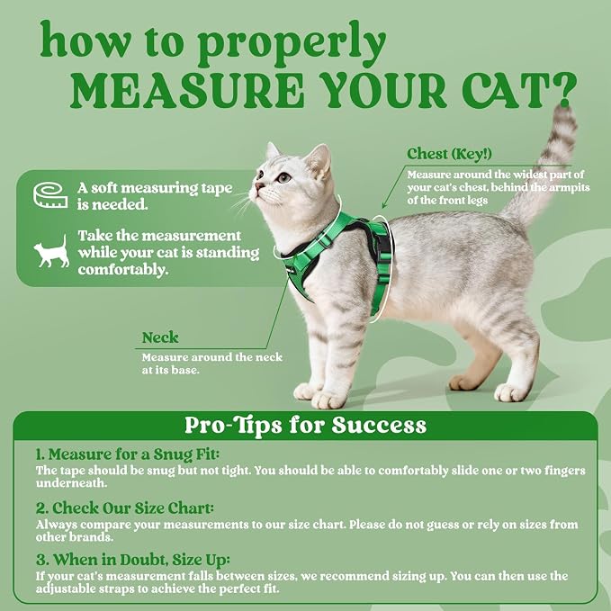rabbitgoo Cat Harness and Leash - Image 2
