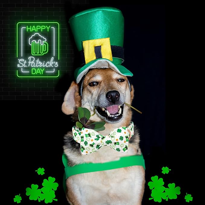 Lionheart Glory St. Patrick's Day Dog Collar - Image 5