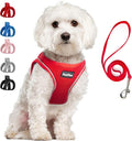 PetiFine Step in Small Dog Harness and Leash Set, Breathable All Weather Air by PetiFine
