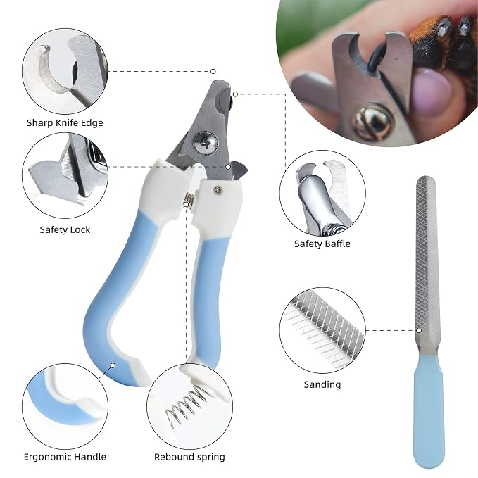 6Pcs Silicone Pet Grooming Set: Bath Massage Dispenser Brush, Finger Toothbrush - Image 4