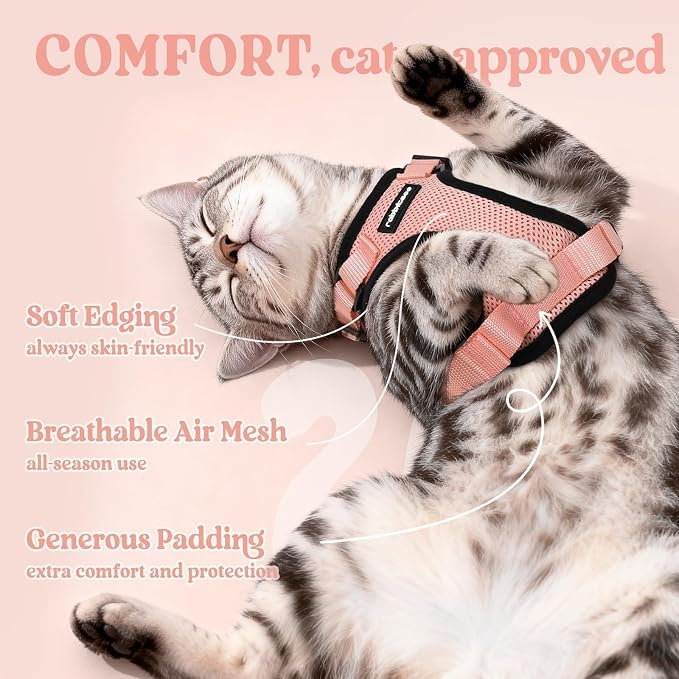 rabbitgoo Cat Harness and Leash - Image 4