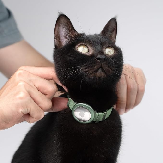 Safety Cat Collar - Image 7