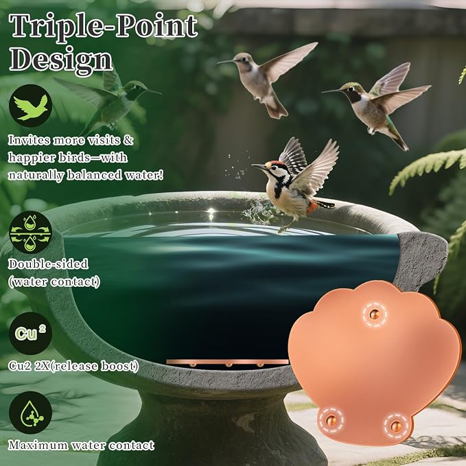 Bird Bath Copper Disk 2 Pack, 99.9% Pure Copper - Image 4