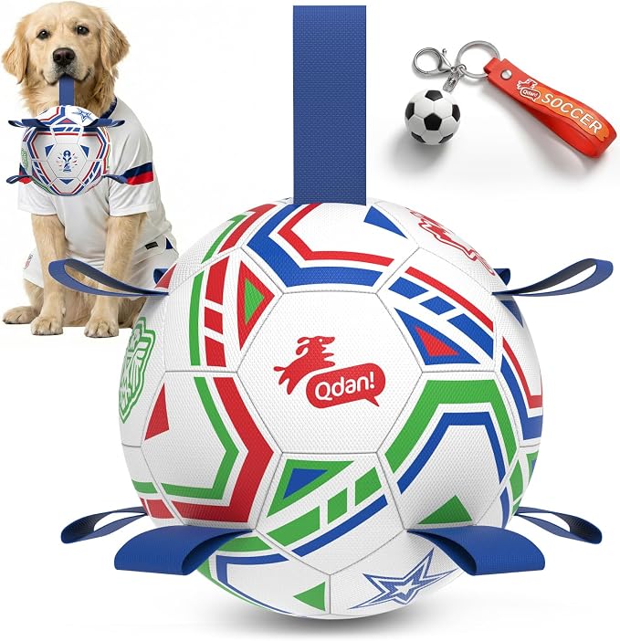 QDAN World Cup Soccer Ball for Dog, 8 Inch Dog Balls by QDAN
