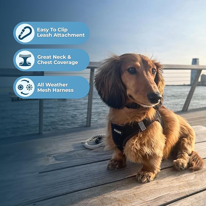 Best Pet Supplies - Image 5
