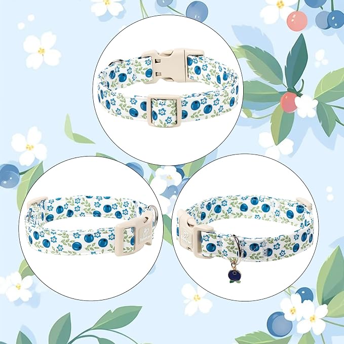 Spring/Summer Dog Collar for Medium Dogs - Image 7