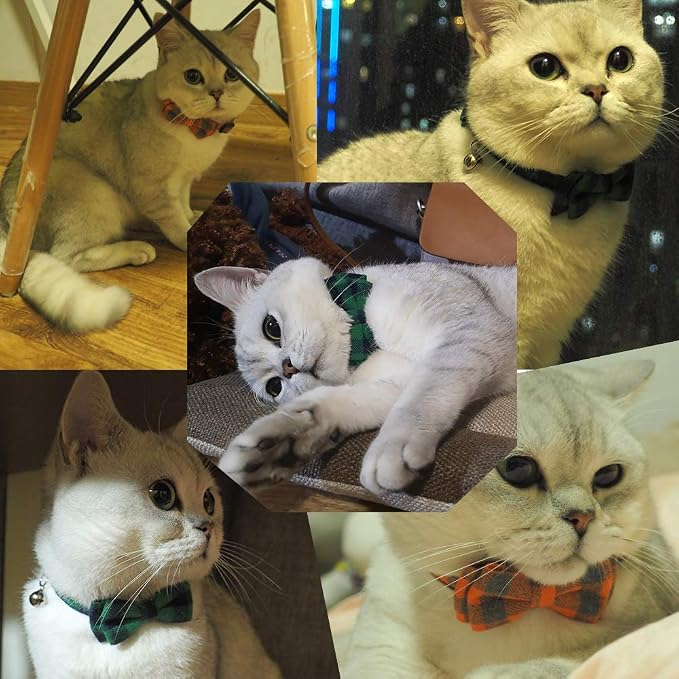Pipidog Cat Collar Breakaway - Image 4