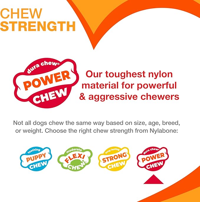 Nylabone Original Bone Power Chew Toy - Image 5