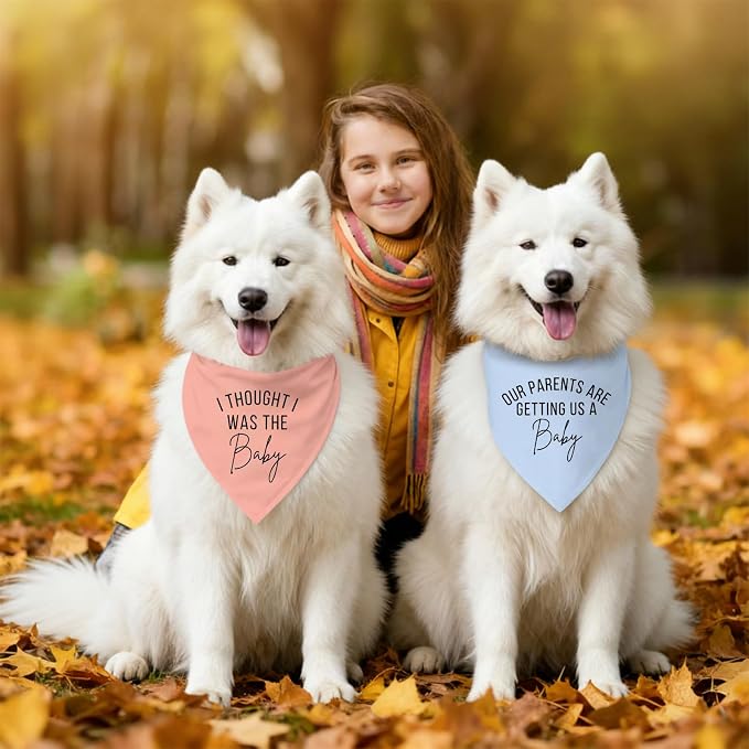 2 Pack Dog Bandanas for Pregnancy Announcement, Cute Adjustable Pet Bandana - Image 5