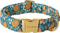 Unique style paws Dog Collar Green Pumpkin Flower Metal Buckle Durable Puppy by Uniquestylepaws